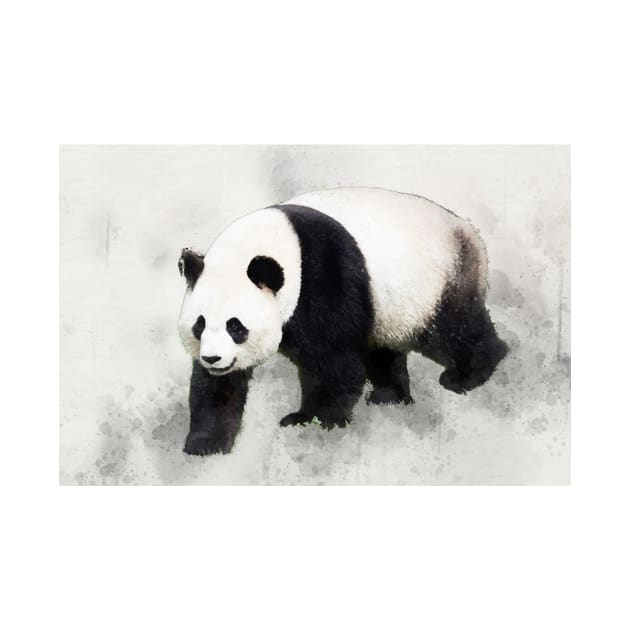 Panda Bear Animal Wild Forest Jungle Asia Bamboo Nature China by Cubebox