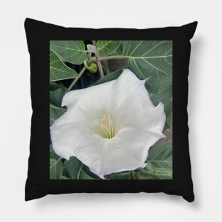 Speak Your Truth with the White Trumpet Flower Pillow