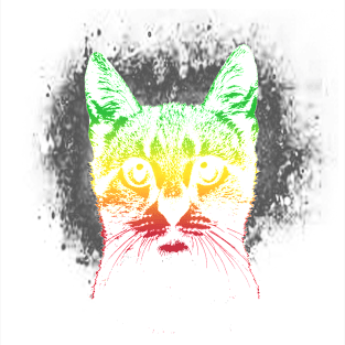 Cute Cat Reggae Color Magnet