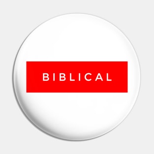 Biblical Pin