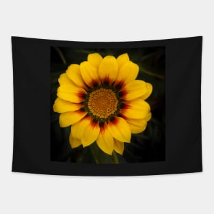 Gazania Tapestry