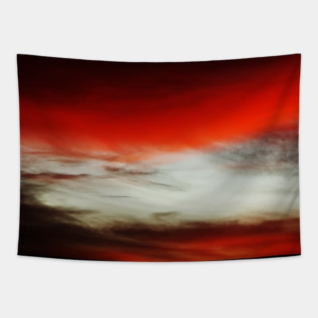 Red Sky Tapestry by fulya