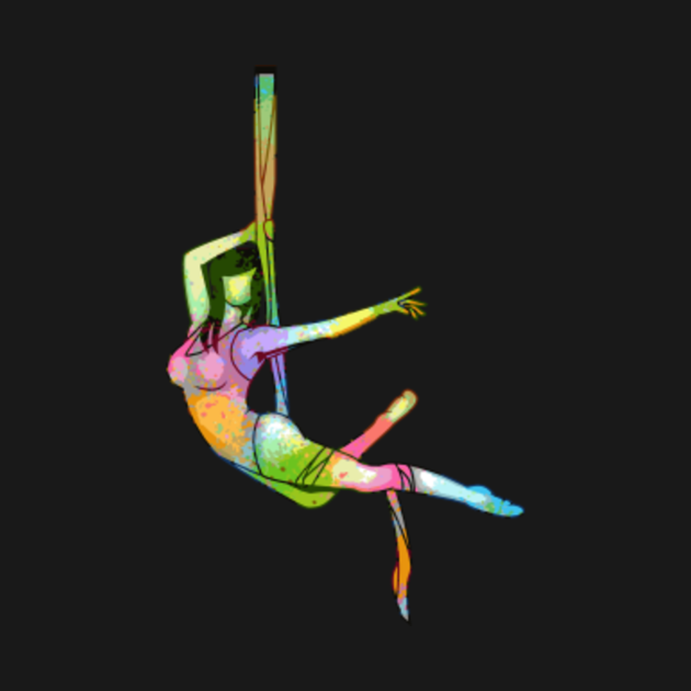 Silk Yoga Gift Aerialist Yoga Aerial Yoga Circus Yoga Shirt Aerial Silk