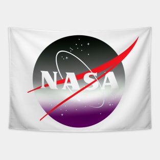 Subtle Asexual NASA Tapestry