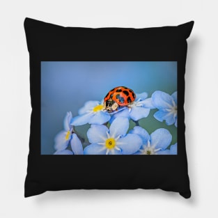 Ladybird on Forget-me-not Pillow