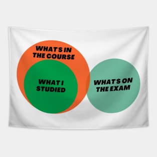 Venn Diagram: Student University Exam Study What’s in the course Tapestry