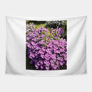 Purple Daisy Daisies Pretty Tapestry