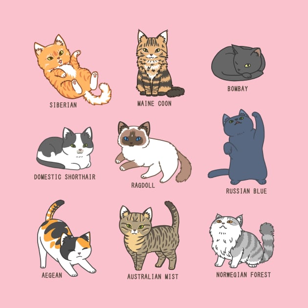 Cat Breeds by MonoFishTank