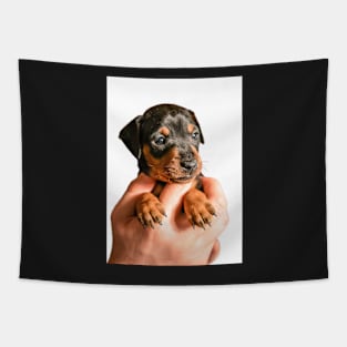 Black puppy in hand Tapestry