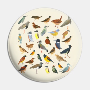 Great collection of birds illustrations Pin