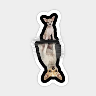 Chihuahua gifts Magnet