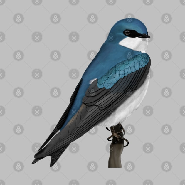 Tree Swallow Backyard Birds Bird Art by jzbirds