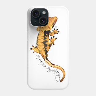 Crested gecko art Phone Case