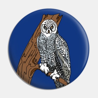 a polar owl Pin