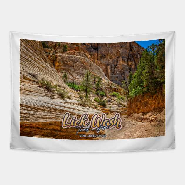 Lick Wash Trail Hike Tapestry by Gestalt Imagery