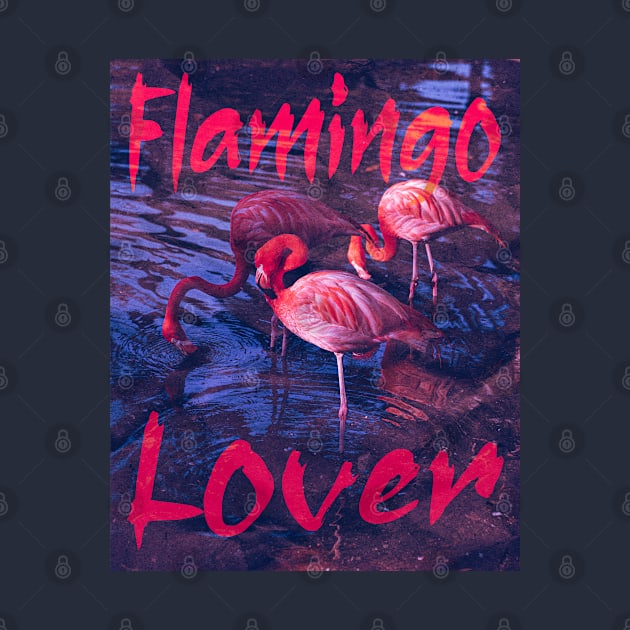 Flamingos by ak3shay