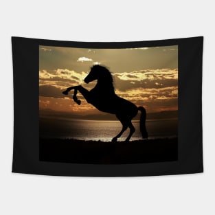 Beautiful Horse On The Beach Tapestry