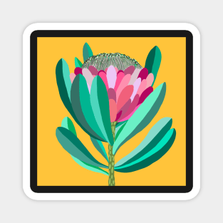 King Protea Magnet