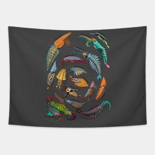 Anomalocaris group Tapestry