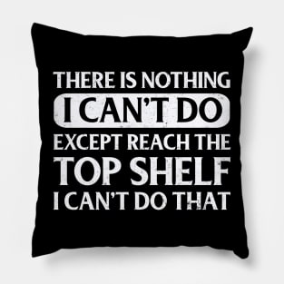 There Is Nothing Except Reach The Top Shelf I Can't Do That Pillow
