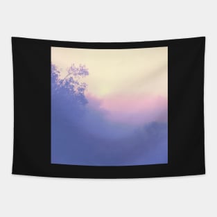 Fog Tapestry