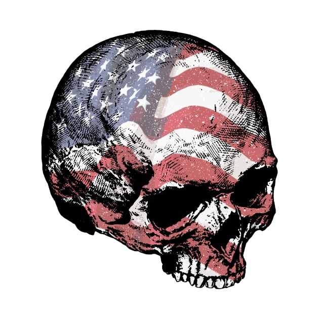 USA Skull by Toby Wilkinson