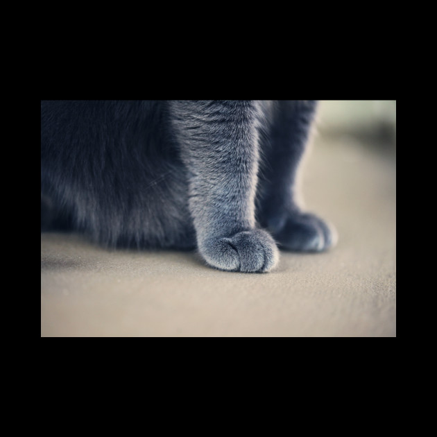 Cat Paws - Cat Paws - Phone Case