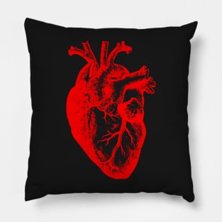 I love / I Heart Heart Anatomy Cardiologist Vintage Design Pillow