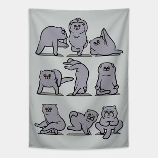 Scottish Fold Yoga Tapestry