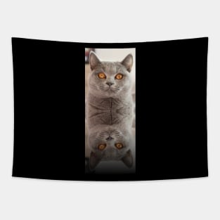 Russian Blue Cat X 2 Tapestry