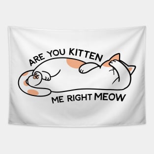 Are you kitten me right meow Tapestry