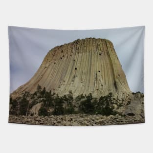 Devil's Tower Tapestry