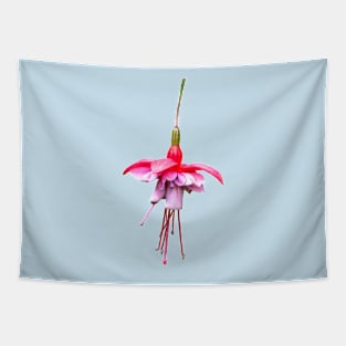 Pink Fuchsia Tapestry