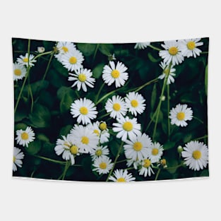 Wild Daisies Tapestry