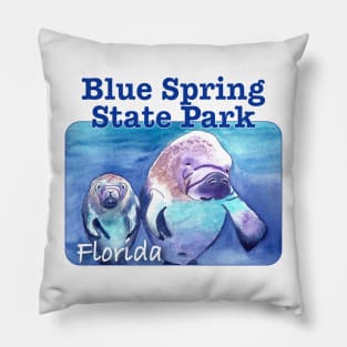 Blue Spring State Park, Florida Pillow
