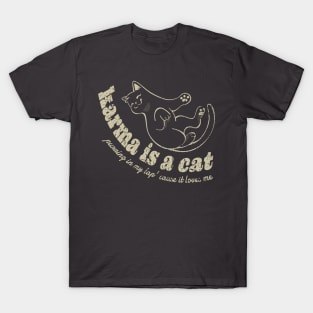 Karma Is A Cat T shirt, Me And Karma Vibe Like That T shirt - Limotees