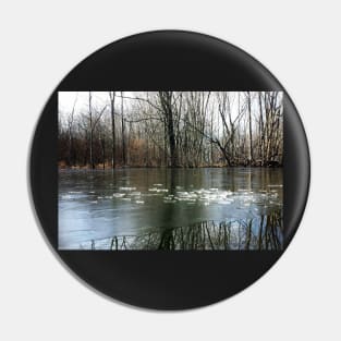 Frozen Lake with Winter Tree Reflections Pin