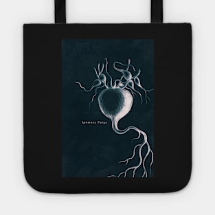 Cyanotype - Ipomoea Purga - C Tote