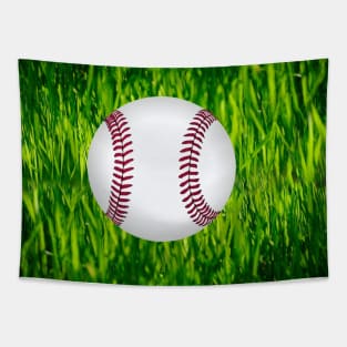 Baseball Tapestry