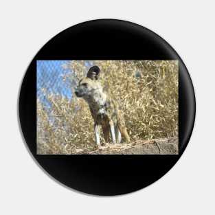 African Wild Dog Pin