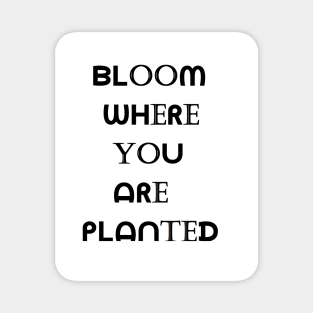 Bloom Where You Are Planted Magnet