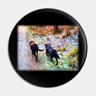 DOG WALKS Pin