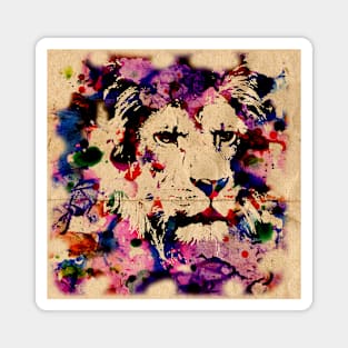 Lion in colour Magnet