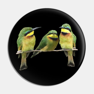 Birds in Africa Pin