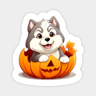 Siberian Husky Dog inside Pumpkin #3 Magnet