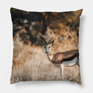 South African Springbok Pillow