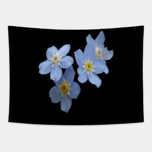 Forget Me Nots Remembrance Flowers Tapestry