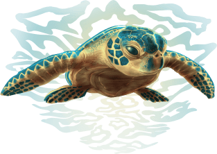 Baby Sea Turtle Magnet
