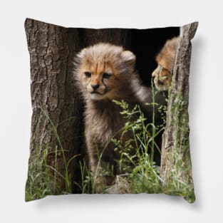 Cheetah 005 Pillow