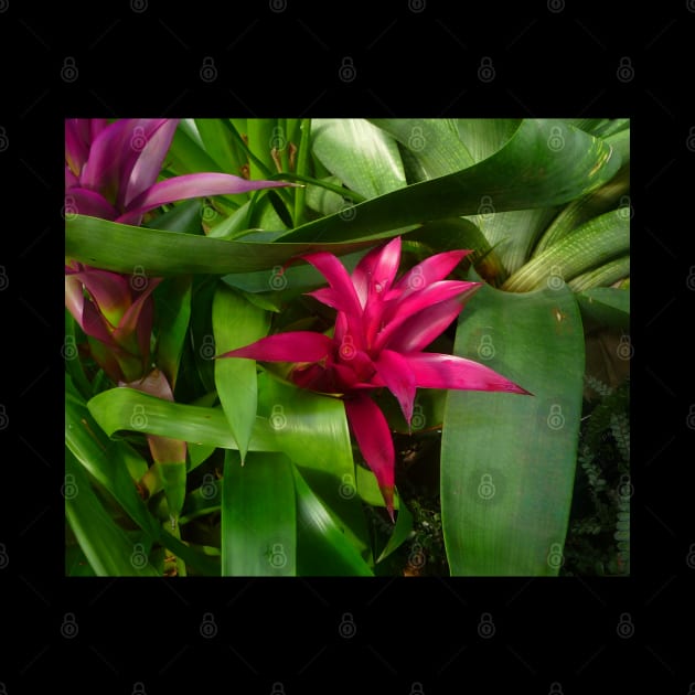 Hot Pink and Green Plants by HFGJewels